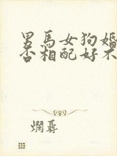 男马女狗婚姻是否相配好不好封面