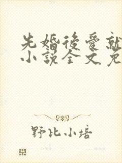 先婚后爱就她吧小说全文免费阅读最