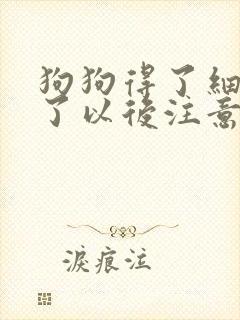 狗狗得了细小好了以后注意什么封面