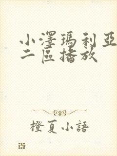 小泽玛利亚一区二区播放封面