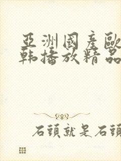 亚洲国产欧美日韩播放精品