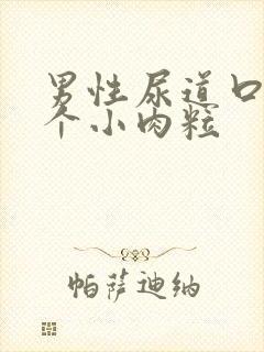 男性尿道口有一个小肉粒