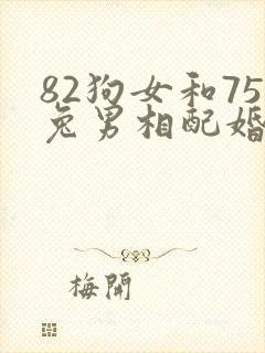 82狗女和75兔男相配婚姻如何