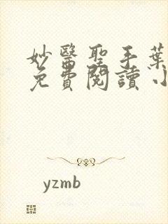 妙医圣手叶皓轩免费阅读 小说