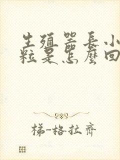 生殖器长小肉肉粒是怎么回事