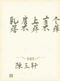 乳房上有个硬疙瘩不疼不痒怎么回事