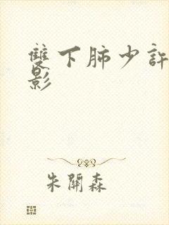 双下肺少许索条影