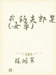 我的夫郎是弃夫(女尊)封面