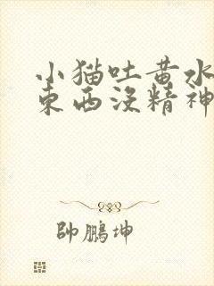 小猫吐黄水不吃东西没精神