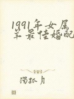 1991年女属羊最佳婚配属相