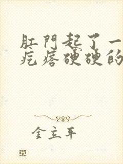 肛门起了一个大疙瘩硬硬的很疼封面