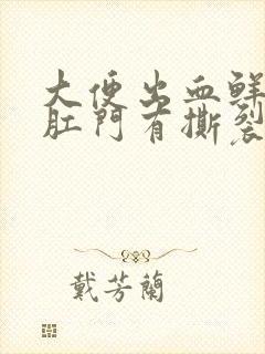 大便出血鲜红色肛门有撕裂感