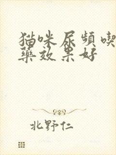 猫咪尿频吃什么药效果好封面