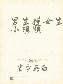 男生摸女生的胸小视频