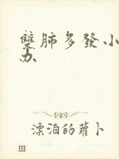 双肺多发小结节办