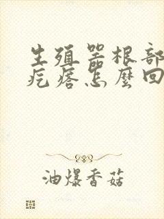 生殖器根部长小疙瘩怎么回事