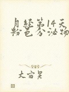 月经第14天有粉色分泌物