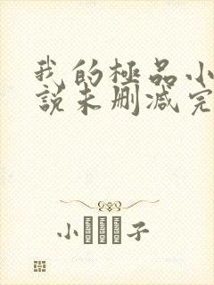 我的极品小姨小说未删减完整版