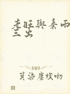 老旺与秦雨三进三出