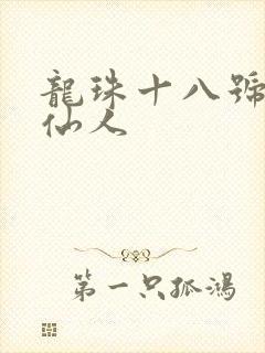 龙珠十八号和龟仙人