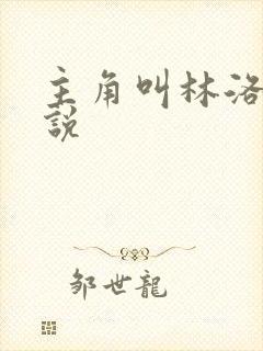 主角叫林洛的小说