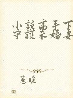 小说高手下山:守护未婚妻最新章节