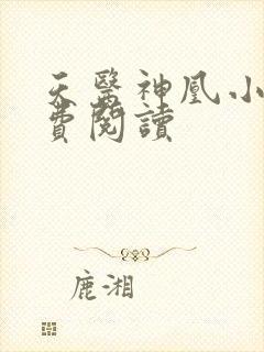 天医神凰小说免费阅读