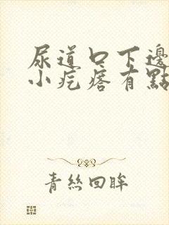 尿道口下边有个小疙瘩有点痒