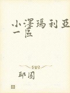 小泽玛利亚高清一区封面