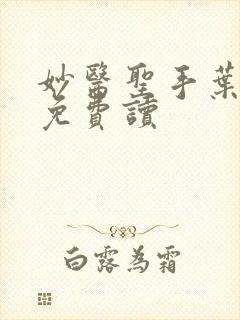 妙医圣手叶皓轩免费读