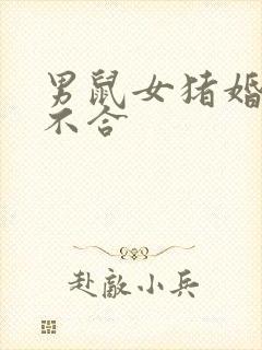 男鼠女猪婚姻合不合