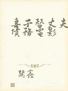 妻子替丈夫偿还债务电影