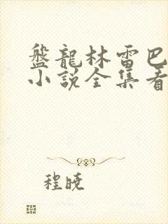 盘龙林雷巴鲁克小说全集看封面