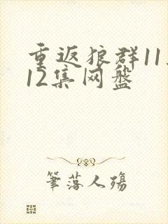 重返狼群11集12集网盘