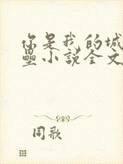 你是我的城池营垒小说全文免费阅读