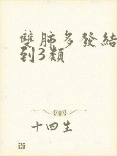 双肺多发结节2到3类