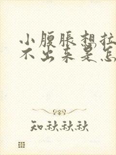 小腹胀想拉屎拉不出来是怎么回事