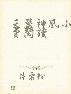 天医神凰小说免费阅读