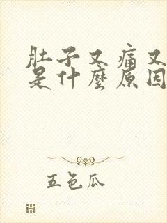 肚子又痛又呕吐是什么原因