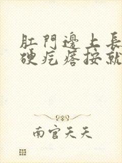 肛门边上长了个硬疙瘩按就疼封面