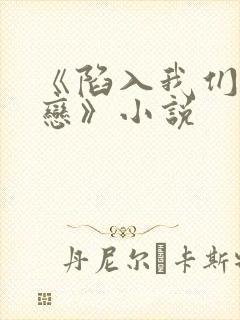 《陷入我们的热恋》小说