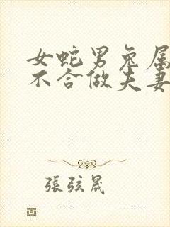 女蛇男兔属相合不合做夫妻