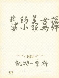 我的美女总裁老婆小说无弹窗