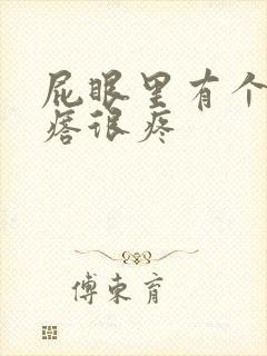 屁眼里有个硬疙瘩很疼