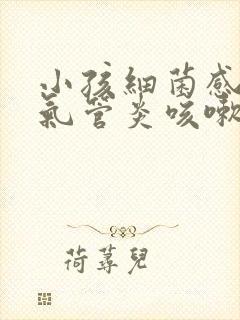 小孩细菌感染支气管炎咳嗽吃什么药