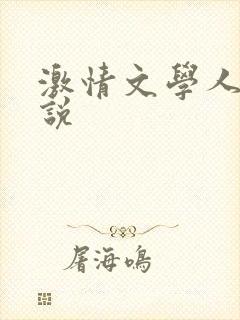 激情文学人妻小说封面