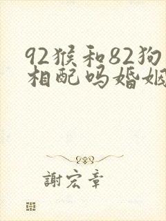 92猴和82狗相配吗婚姻