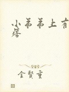 小弟弟上有硬疙瘩封面