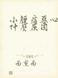 小腹痛恶心想吐什么原因