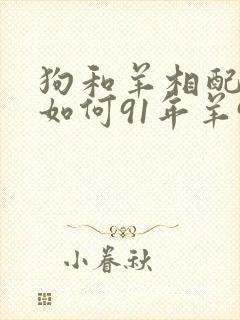 狗和羊相配婚姻如何91年羊94年狗封面